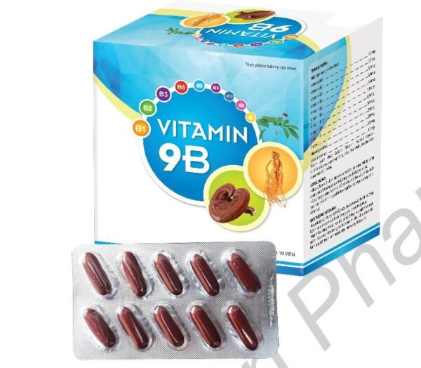 Vitamin 9B Gia Thuận