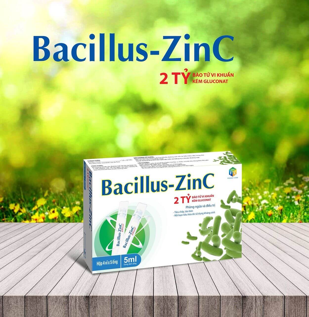 Bacillus - ZinC Bổ Sung Lợi Khuẩn, Cải Thiện Hệ Vi Sinh Đường Ruột