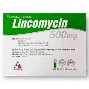 Lincomycin 500mg Vĩnh Phúc hộp 20 vỉ