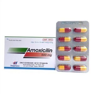 Amoxicilin 500mg Thephaco