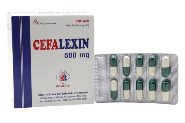 cephalexin