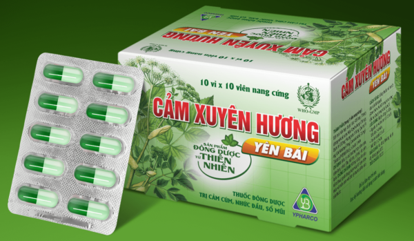 Cảm Xuyên Hương Yên Bái