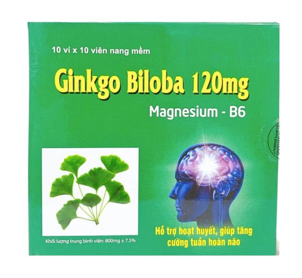 Ginkgo Biloba 120mg Magnesium-B6