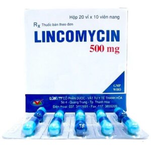 Lincomycin 500mg Thephaco (20 vỉ x 10 viên)