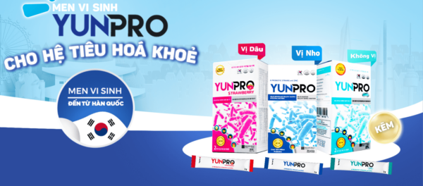 Men vi sinh Yunpro DHG Pharma (Hộp 20 gói x 2g)